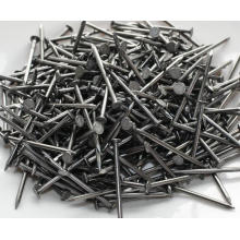 China Fornecedor Galvanizado Common Round Nails